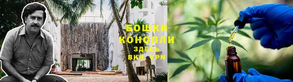 амф Бородино