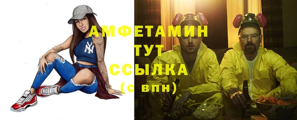 амф Бородино