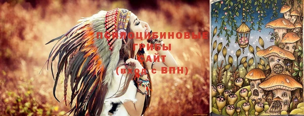 амф Бородино