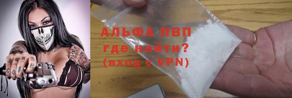амф Бородино