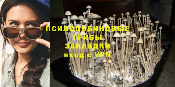 амф Бородино