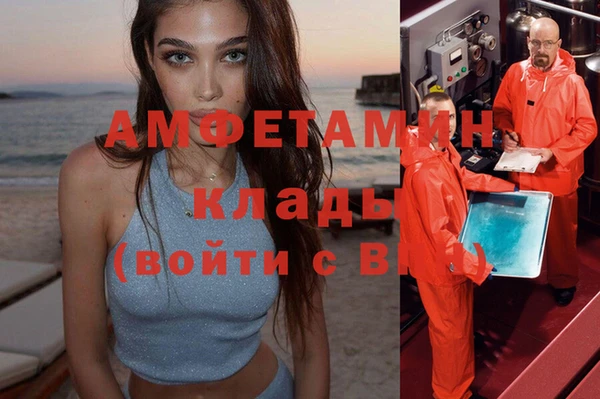 амф Бородино