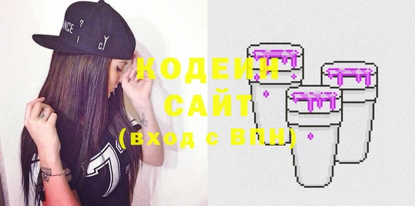 амф Бородино