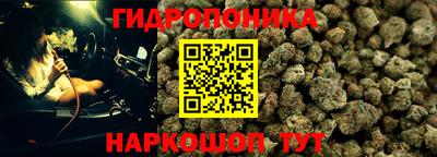 ПСИЛОЦИБИНОВЫЕ ГРИБЫ Балахна