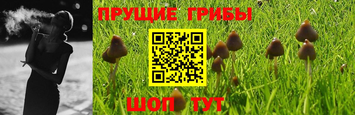 Городец  Псилоцибиновые грибы ЛСД  Вход с VPN 