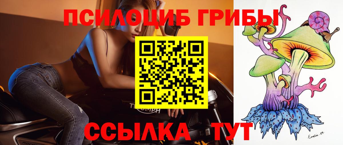 Псилоцибиновые грибы прущие грибы Городец