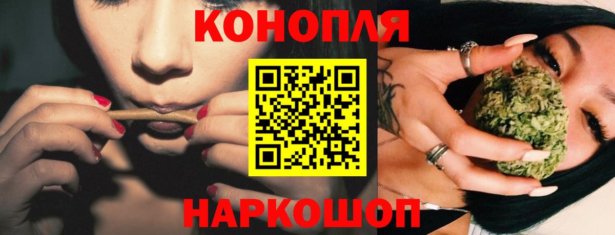 Канабис гибрид Городец